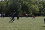 OTFL Gallery Image
